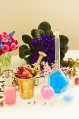aromatherapy - dry flowers and potions