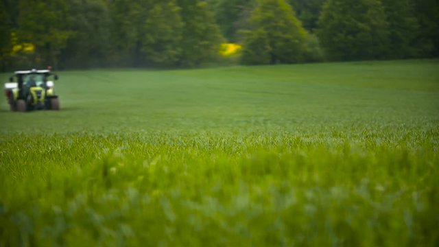 Wheat field and tractor plowing
