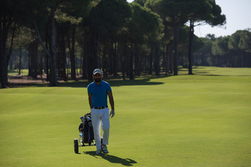 Obraz premium golf player walking with wheel bag