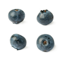 Obraz premium Set of Single berry of Bilberry or blueberry over isolated white background