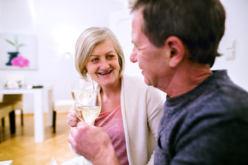 Obraz na płótnie Canvas Senior couple sitting in living room, drinking champagne