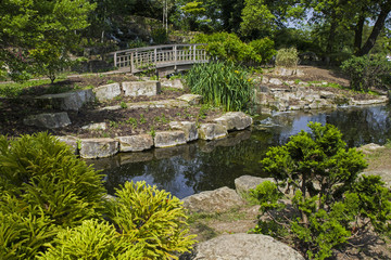 Fototapeta na wymiar Japanese Garden Island in Regents Park, London