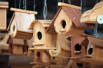 wooden bird house as background.