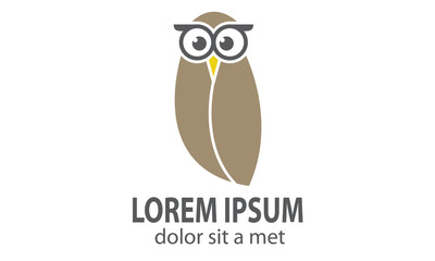 Owl Logo Design