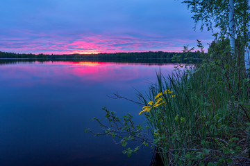 Sunset on the lake with flowers on the shore, Finland