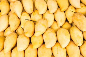 Fresh yellow mango