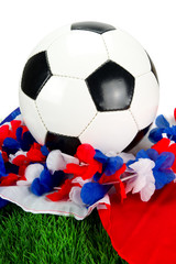 Fussball - Frankreich 