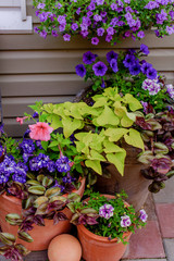 Beautifully decorated porch of a private house, colorful flowers in large clay pots, vintage bench, vintage inventory.