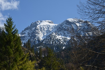 Alpenpanorama