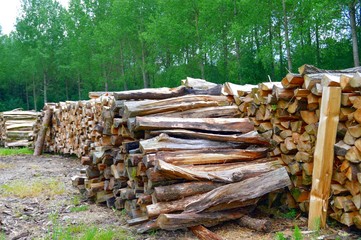 Woodpile of oak to cut.