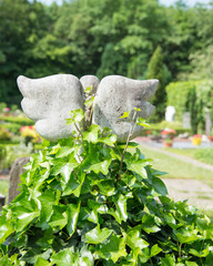 Engel von hinten