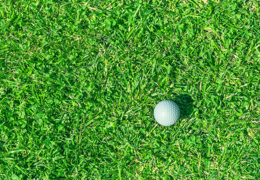 golf ball on the grass