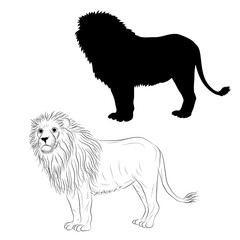 male lion standing black silhouette sketch vector illustration