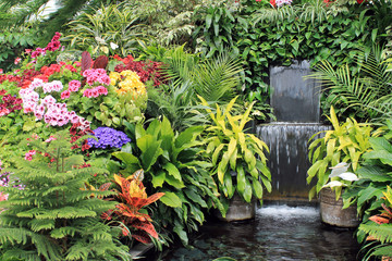 Colorful Flowers and a Waterfall in a Display Greenhouse