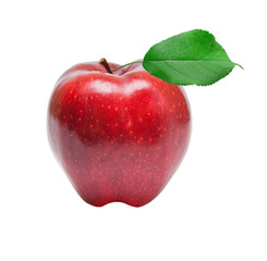 Red apple on white background