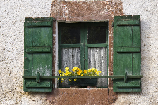 Ventana verde con porticones y flores amarillas