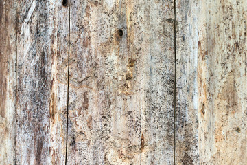 natural wood texture