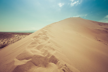 desert dunes, big dune in the desert, kazakhstan, central asia, red sand dunes, flowers in the...