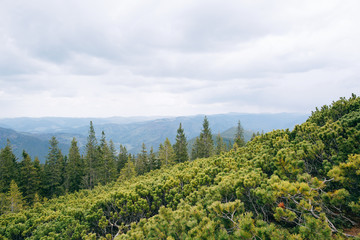 Rain in the green mountains. 
cloudy sky