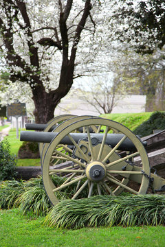 Old Cannons in Natchez Mississippi under spring bloom