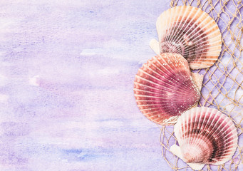 Seashells background with copy space.