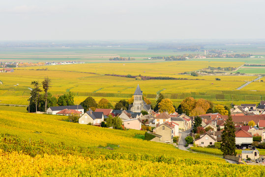 Champagne wine fields during autumn. Village of Oger.