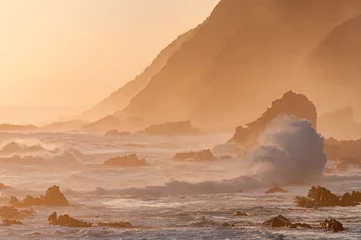 Natürliche Sepia-Küstensonnenuntergangszene © dpreezg