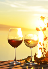 Wine against vineyards in Lavaux, Switzerland