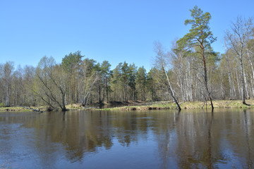 Fototapeta na wymiar River spring landscape.