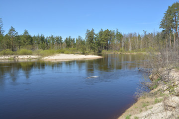 Fototapeta premium River spring landscape.