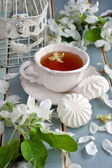 Tea cup  and  cookies  on wooden background