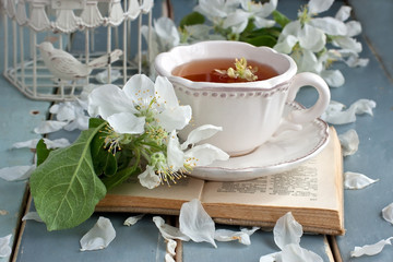 Spring composition with blossom branch and tea cup