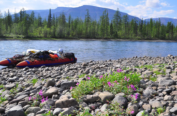 Sports catamaran on the pebbled shore.