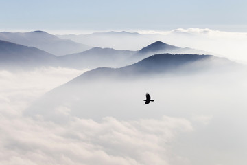 Sylwetki gór we mgle i latające ptaki - 112872824