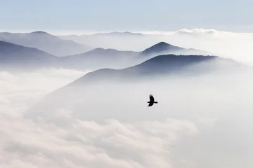 Silhouettes of mountains in the mist and bird flying © Oleg Breslavtsev