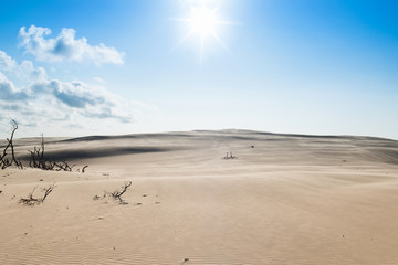 Fototapeta na wymiar pustynia piaszczysta