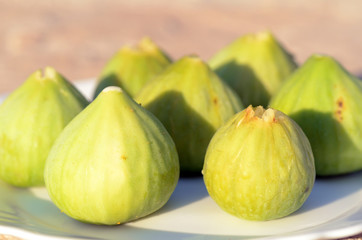 Frische Feigen vom Baum