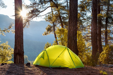 yellow tent in morning forest