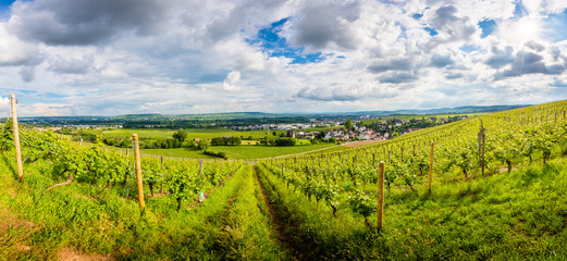 Fototapeta premium am Rhein