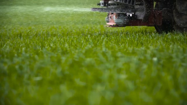 Wheat field and tractor plowing
