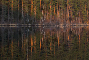 Лес отражается в озере на закате
