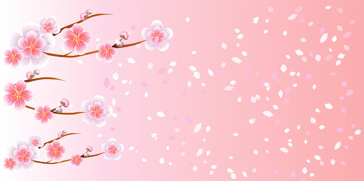Flowers design. Flowers background. Branches of sakura with flowers. Cherry blossom branches with petals falling on Pink background. Vector 
