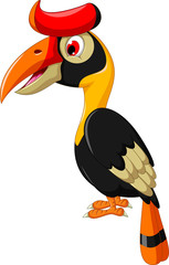 cute hornbill cartoon