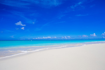 Fototapeta na wymiar Beautiful white sand beach and turquoise clean water on tropical exotic island