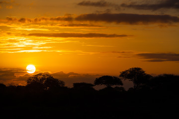 Fototapeta na wymiar African sunset with trees