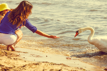 Kids playing with swan white bird.
