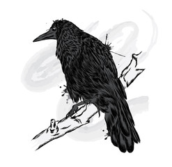 Black Crow on a branch. Vector illustration. Print on clothing, artwork poster or postcard. The poster on the bag. Bird.