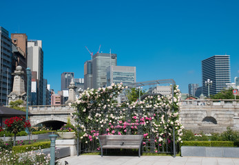 Fototapeta premium バラ園