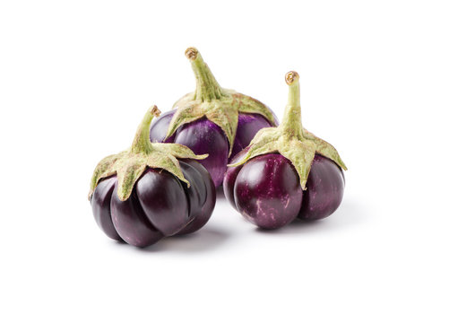 purple  eggplant isolated