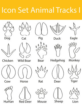 Drawn Doodle Lined Icon Set Animal Tracks I